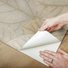 Leaf Concerto Premium Peel + Stick Wallpaper Peel and Stick Wallpaper Candice Olson   