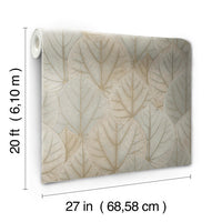 Leaf Concerto Premium Peel + Stick Wallpaper Peel and Stick Wallpaper Candice Olson   