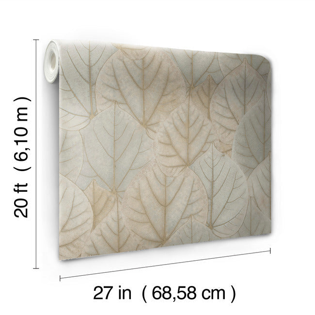 Leaf Concerto Premium Peel + Stick Wallpaper Peel and Stick Wallpaper Candice Olson   