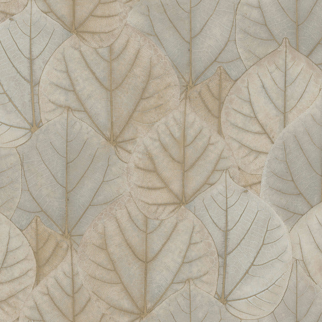 Leaf Concerto Premium Peel + Stick Wallpaper Peel and Stick Wallpaper Candice Olson Roll Warm Taupe 