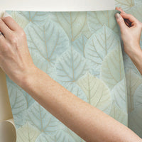 Leaf Concerto Premium Peel + Stick Wallpaper Peel and Stick Wallpaper Candice Olson   