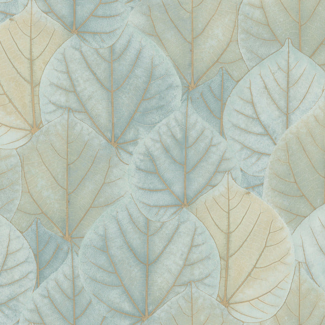 Leaf Concerto Premium Peel + Stick Wallpaper Peel and Stick Wallpaper Candice Olson Roll Turquoise 