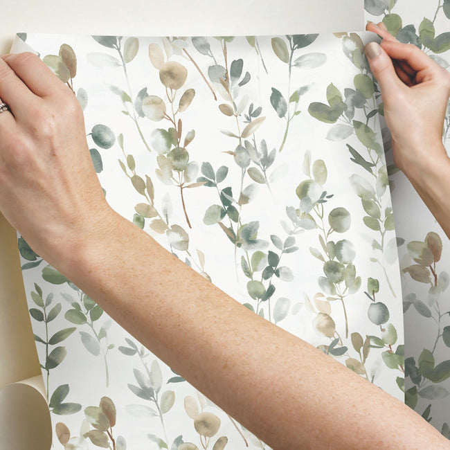 Joyful Eucalyptus Premium Peel + Stick Wallpaper Peel and Stick Wallpaper Candice Olson   