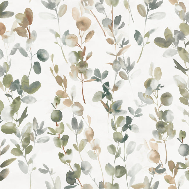 Joyful Eucalyptus Premium Peel + Stick Wallpaper Peel and Stick Wallpaper Candice Olson Roll Green 