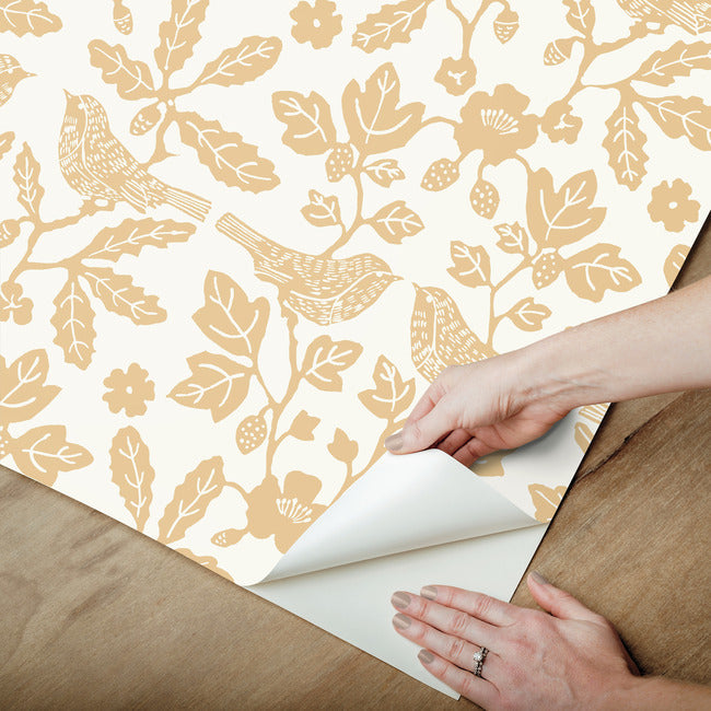 Sparrow & Oak Premium Peel + Stick Wallpaper Peel and Stick Wallpaper York Wallcoverings   
