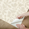 Sparrow & Oak Premium Peel + Stick Wallpaper Peel and Stick Wallpaper York Wallcoverings   
