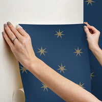 Star Splendor Premium Peel + Stick Wallpaper Peel and Stick Wallpaper York Wallcoverings   