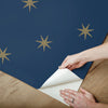 Star Splendor Premium Peel + Stick Wallpaper Peel and Stick Wallpaper York Wallcoverings   