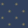 Star Splendor Premium Peel + Stick Wallpaper Peel and Stick Wallpaper York Wallcoverings Roll Navy/Metallic Gold 