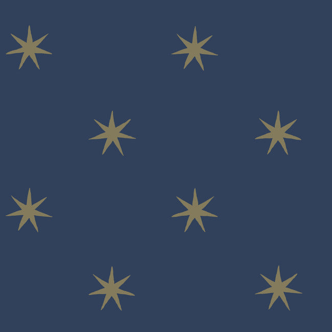 Star Splendor Premium Peel + Stick Wallpaper Peel and Stick Wallpaper York Wallcoverings Roll Navy/Metallic Gold 