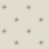 Star Splendor Premium Peel + Stick Wallpaper Peel and Stick Wallpaper York Wallcoverings Roll Wicker/Metallic Gl 