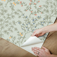 Lemon Grove Premium Peel + Stick Wallpaper Peel and Stick Wallpaper York Wallcoverings   