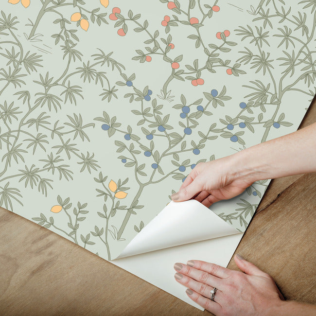 Lemon Grove Premium Peel + Stick Wallpaper Peel and Stick Wallpaper York Wallcoverings   