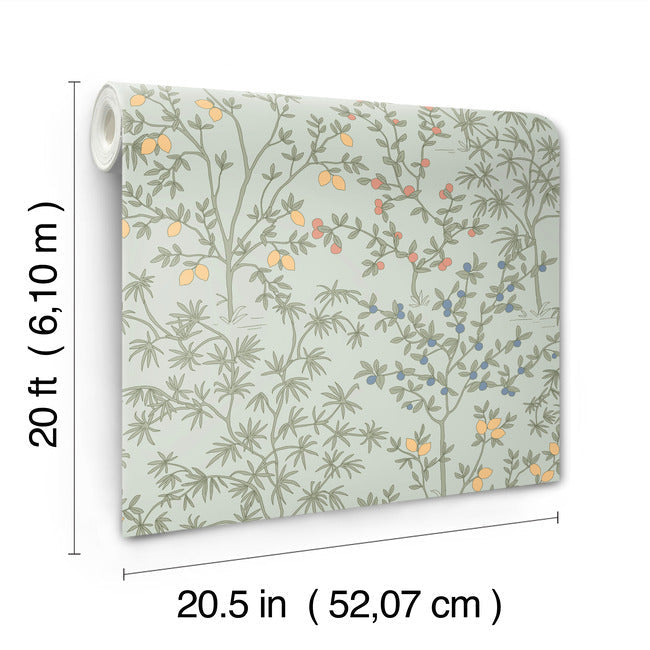 Lemon Grove Premium Peel + Stick Wallpaper Peel and Stick Wallpaper York Wallcoverings   