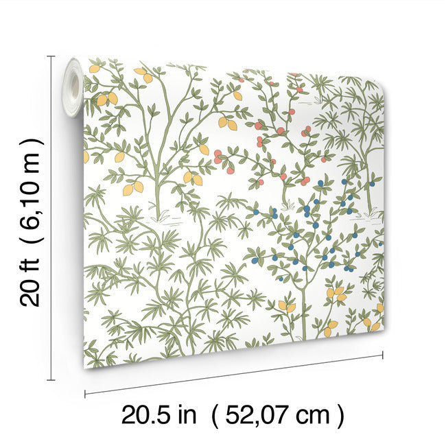 Lemon Grove Premium Peel + Stick Wallpaper Peel and Stick Wallpaper York Wallcoverings   