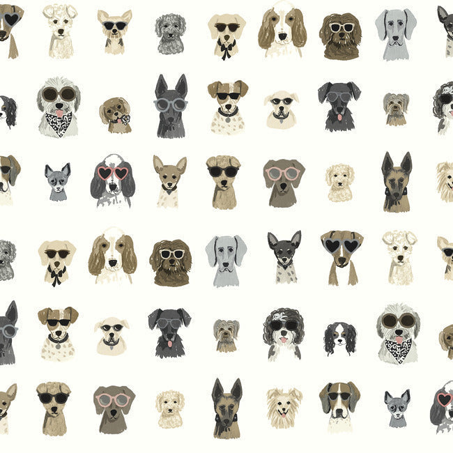 Dog Days Premium Peel + Stick Wallpaper Peel and Stick Wallpaper Rifle Paper Co. Roll Grey 