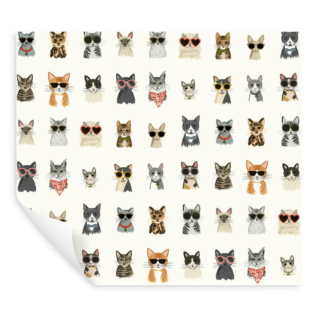 Cool Cats Premium Peel + Stick Wallpaper Peel and Stick Wallpaper Rifle Paper Co.   