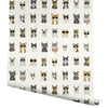 Cool Cats Premium Peel + Stick Wallpaper Peel and Stick Wallpaper Rifle Paper Co.   