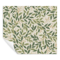 Willowberry Premium Peel + Stick Wallpaper Peel and Stick Wallpaper Rifle Paper Co.   