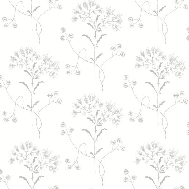 Wildflower Premium Peel + Stick Wallpaper Peel and Stick Wallpaper York Wallcoverings Roll Grey 