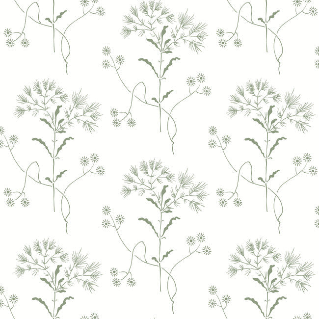 Wildflower Premium Peel + Stick Wallpaper Peel and Stick Wallpaper York Wallcoverings Roll Green 