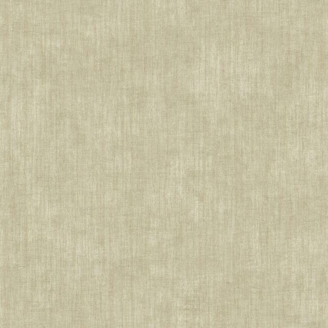 Nouveau Frame Texture Wallpaper York Double Roll Gold/Iridescent 