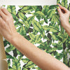 Palm Peel and Stick Wallpaper Peel and Stick Wallpaper RoomMates   