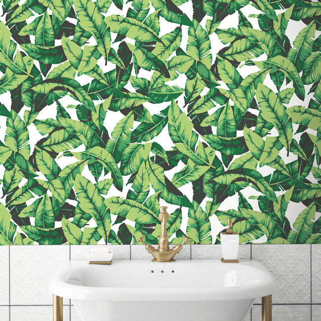 Palm Peel and Stick Wallpaper Peel and Stick Wallpaper RoomMates   
