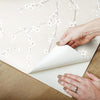 Cherry Blossom Peel and Stick Wallpaper Peel and Stick Wallpaper RoomMates   
