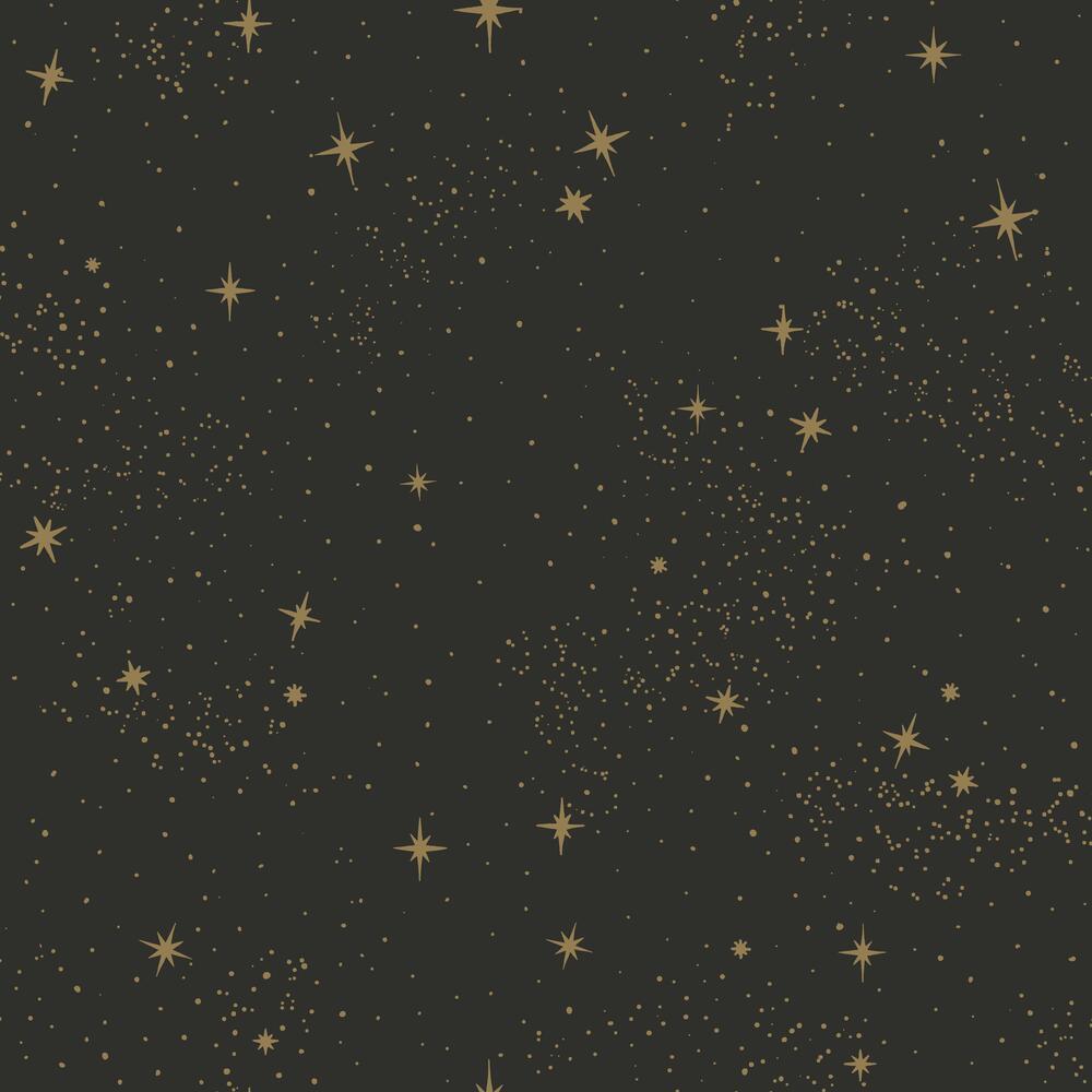 Upon a Star Peel and Stick Wallpaper Peel and Stick Wallpaper RoomMates Roll Black 