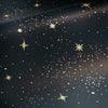 Upon a Star Peel and Stick Wallpaper Peel and Stick Wallpaper RoomMates   
