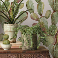 Prickly Pear Cactus Peel and Stick Wallpaper Peel and Stick Wallpaper RoomMates   