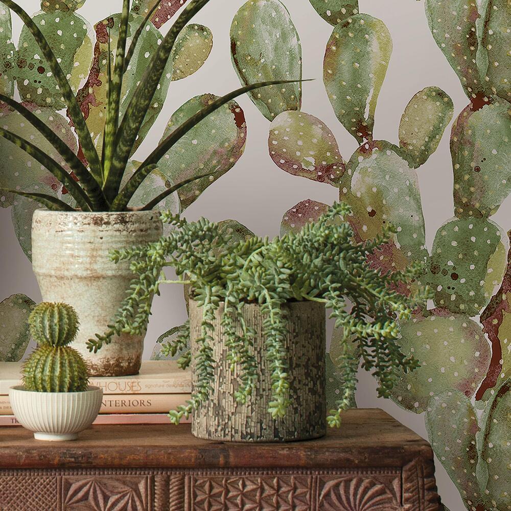 Prickly Pear Cactus Peel and Stick Wallpaper Peel and Stick Wallpaper RoomMates   