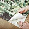 Lucky Bamboo Peel and Stick Wallpaper Peel and Stick Wallpaper RoomMates   