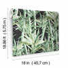 Lucky Bamboo Peel and Stick Wallpaper Peel and Stick Wallpaper RoomMates   