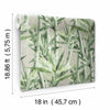Lucky Bamboo Peel and Stick Wallpaper Peel and Stick Wallpaper RoomMates   