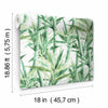 Lucky Bamboo Peel and Stick Wallpaper Peel and Stick Wallpaper RoomMates   