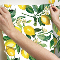 Lemon Zest Peel and Stick Wallpaper Peel and Stick Wallpaper RoomMates   