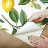 Lemon Zest Peel and Stick Wallpaper Peel and Stick Wallpaper RoomMates   