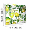 Lemon Zest Peel and Stick Wallpaper Peel and Stick Wallpaper RoomMates   