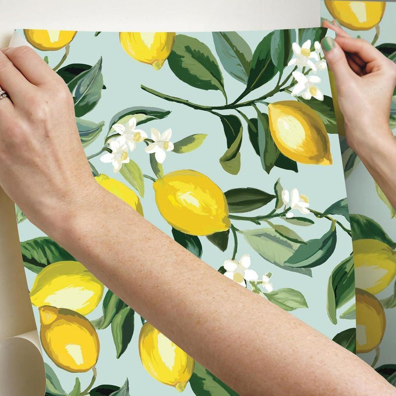 Lemon Zest Peel and Stick Wallpaper Peel and Stick Wallpaper RoomMates   