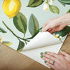 Lemon Zest Peel and Stick Wallpaper Peel and Stick Wallpaper RoomMates   