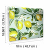 Lemon Zest Peel and Stick Wallpaper Peel and Stick Wallpaper RoomMates   