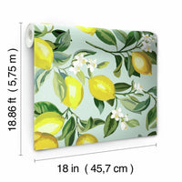 Lemon Zest Peel and Stick Wallpaper Peel and Stick Wallpaper RoomMates   