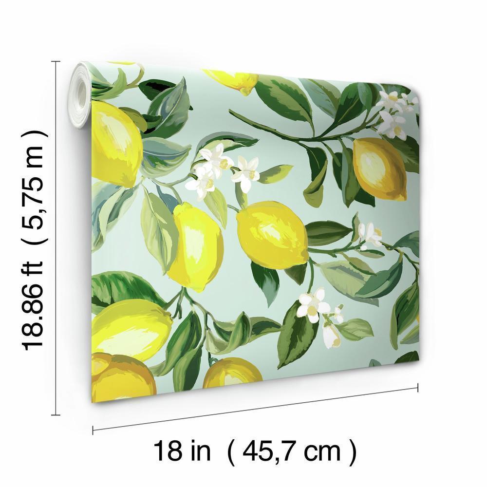 Lemon Zest Peel and Stick Wallpaper Peel and Stick Wallpaper RoomMates   