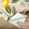 Lemon Zest Peel and Stick Wallpaper Peel and Stick Wallpaper RoomMates   