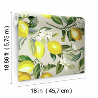 Lemon Zest Peel and Stick Wallpaper Peel and Stick Wallpaper RoomMates   