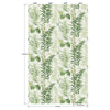 Fern Forest Wall Mural Wall Mural York   