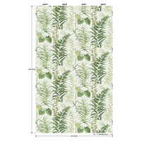 Fern Forest Wall Mural Wall Mural York   
