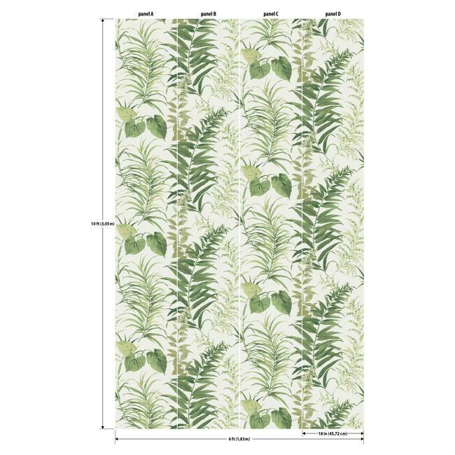 Fern Forest Wall Mural Wall Mural York   